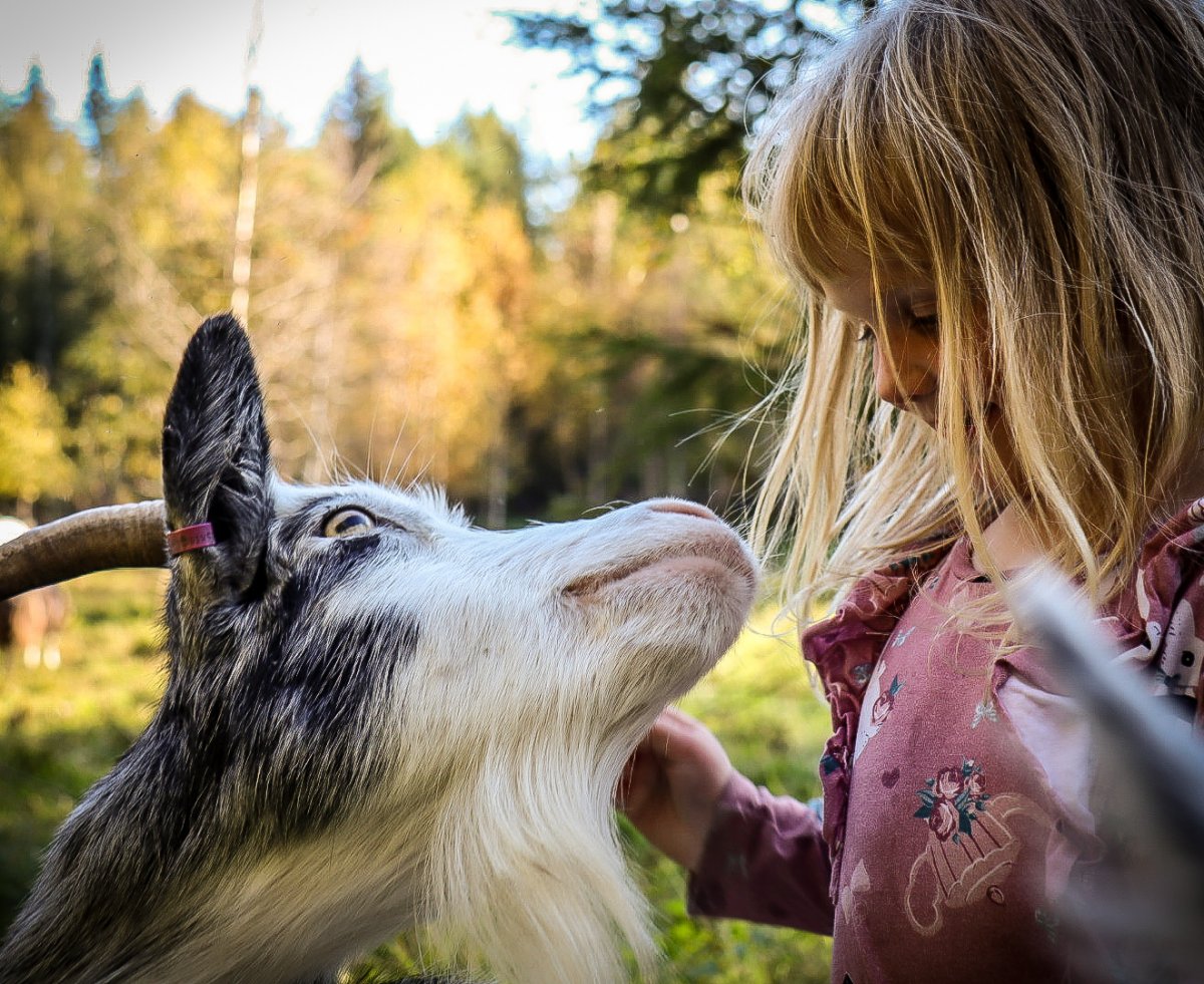 "Vi haj baja tjugo gettej föj de andja äj döda"